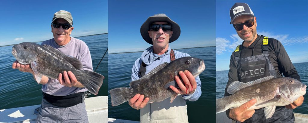 Little Sister tautog