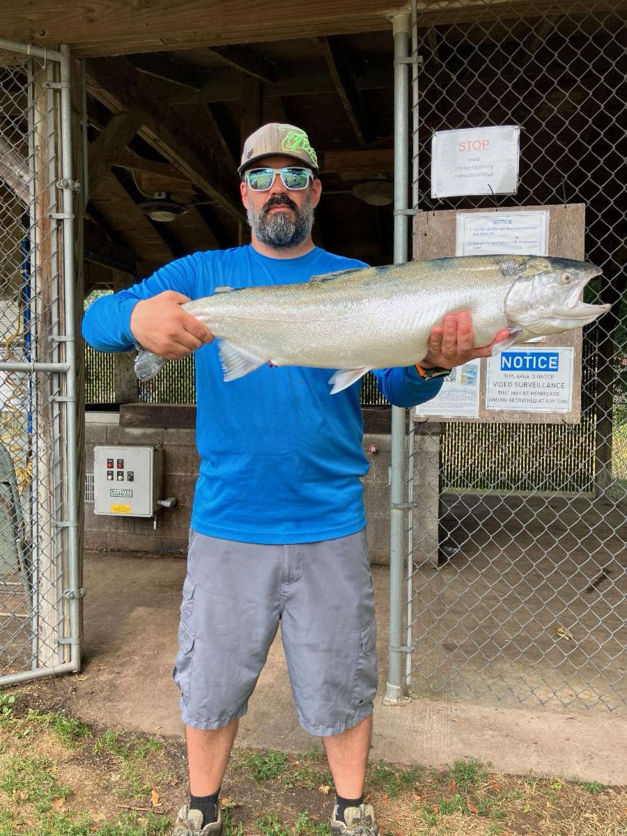 Orleans County steelhead
