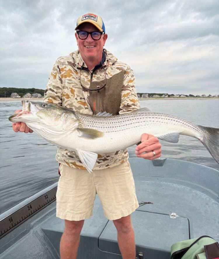 big striped bass
