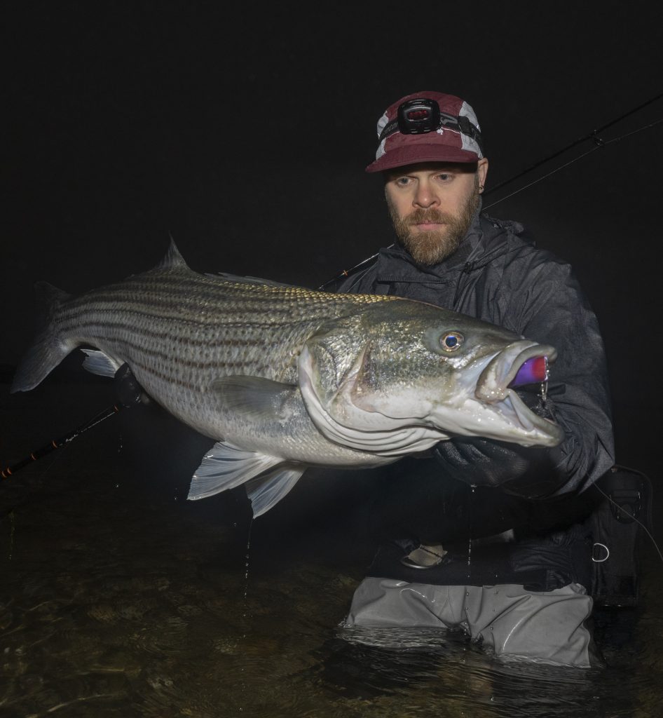 vibration in striper lures