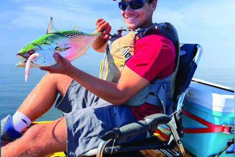 How to Catch Albies in Rhode Island