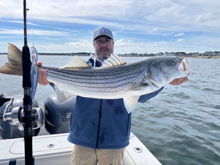 Legit Fish striped bass