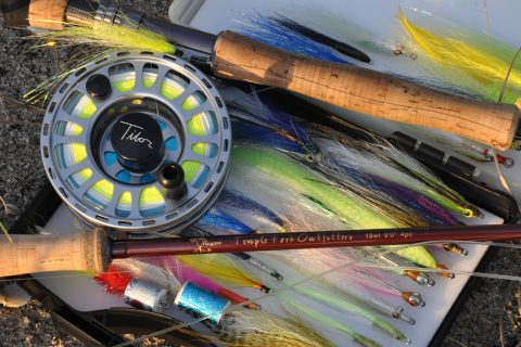 Catch False Albacore on Surface Flies