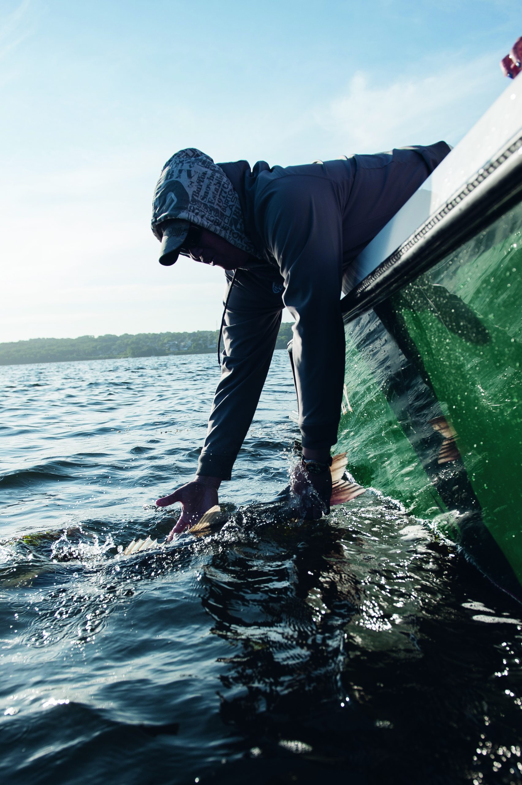 A Thanksgiving Striper