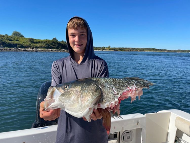 Buzzards Bay tax man