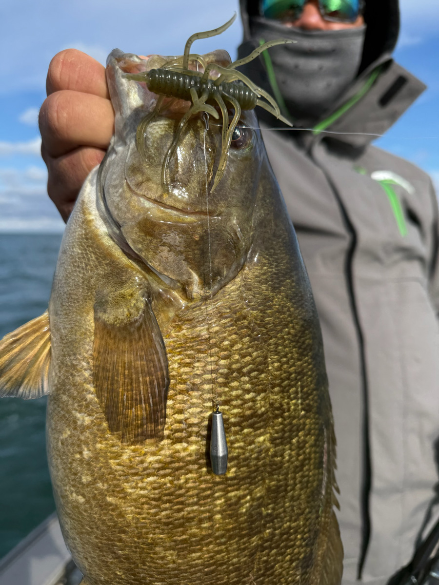 big smallmouth bass from the Niagara River