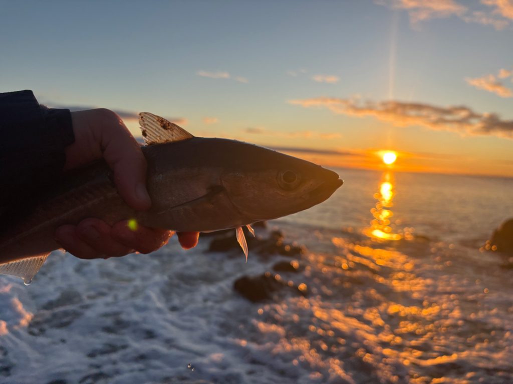 Paul Craney's pollock