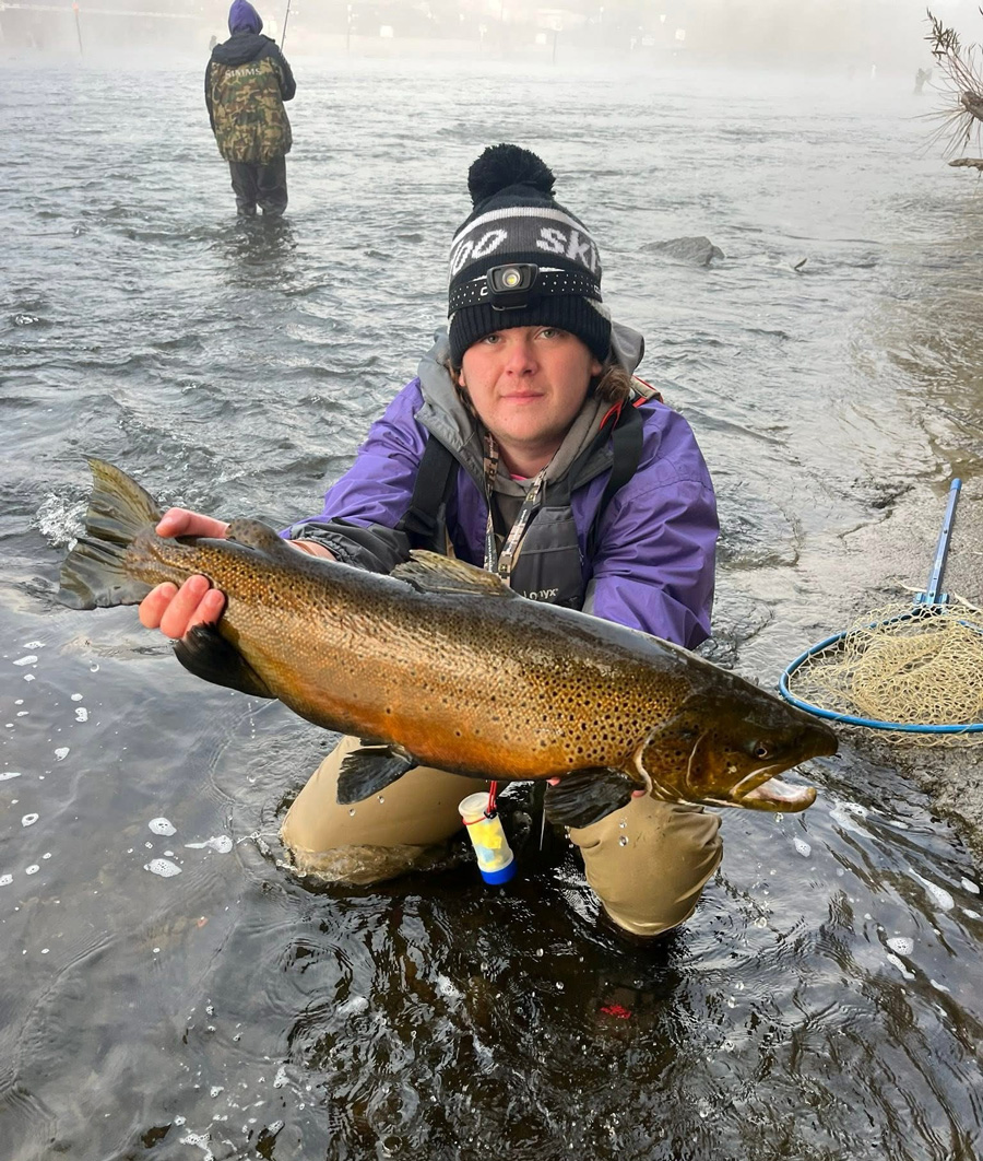 Oswego River brown trout