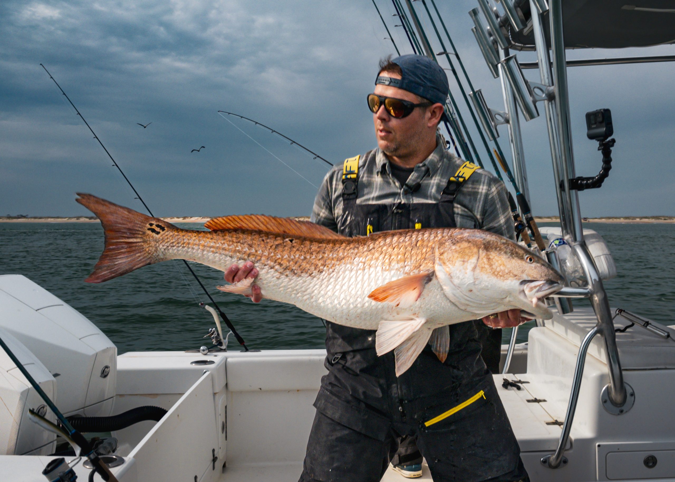 The North Carolina Fall Run