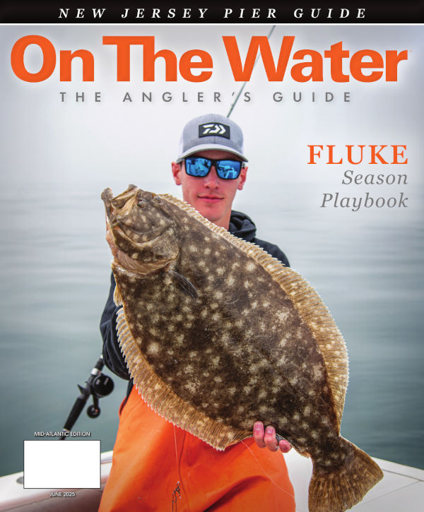 Fluke Playbook cover