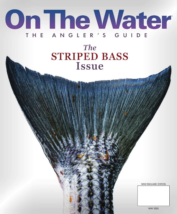 The Striper Issue cover