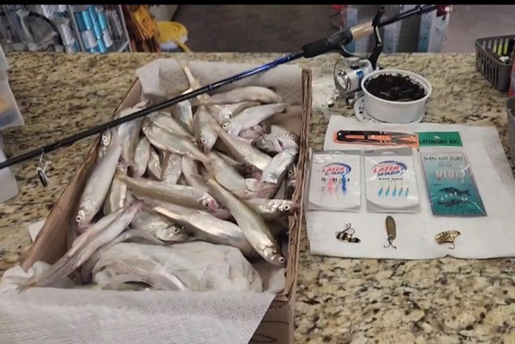 Fishing FINatics/Willy Goldsmith smelt kit