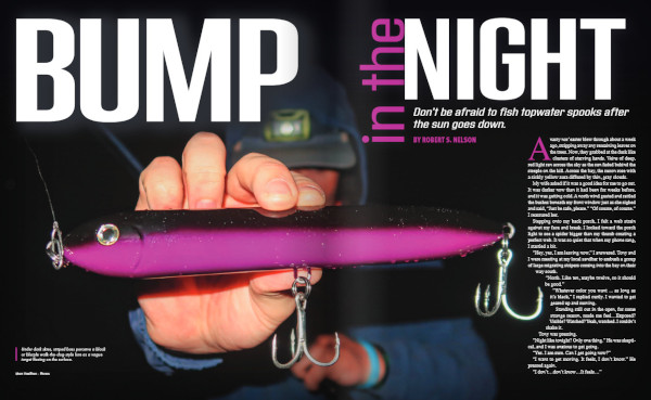 Magazine spread showing nighttime plug tactics