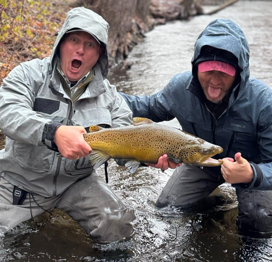 typical brown from the Oak