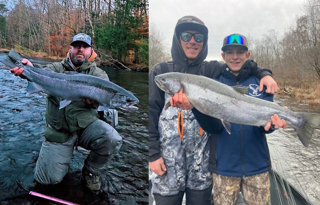Oswego steelhead
