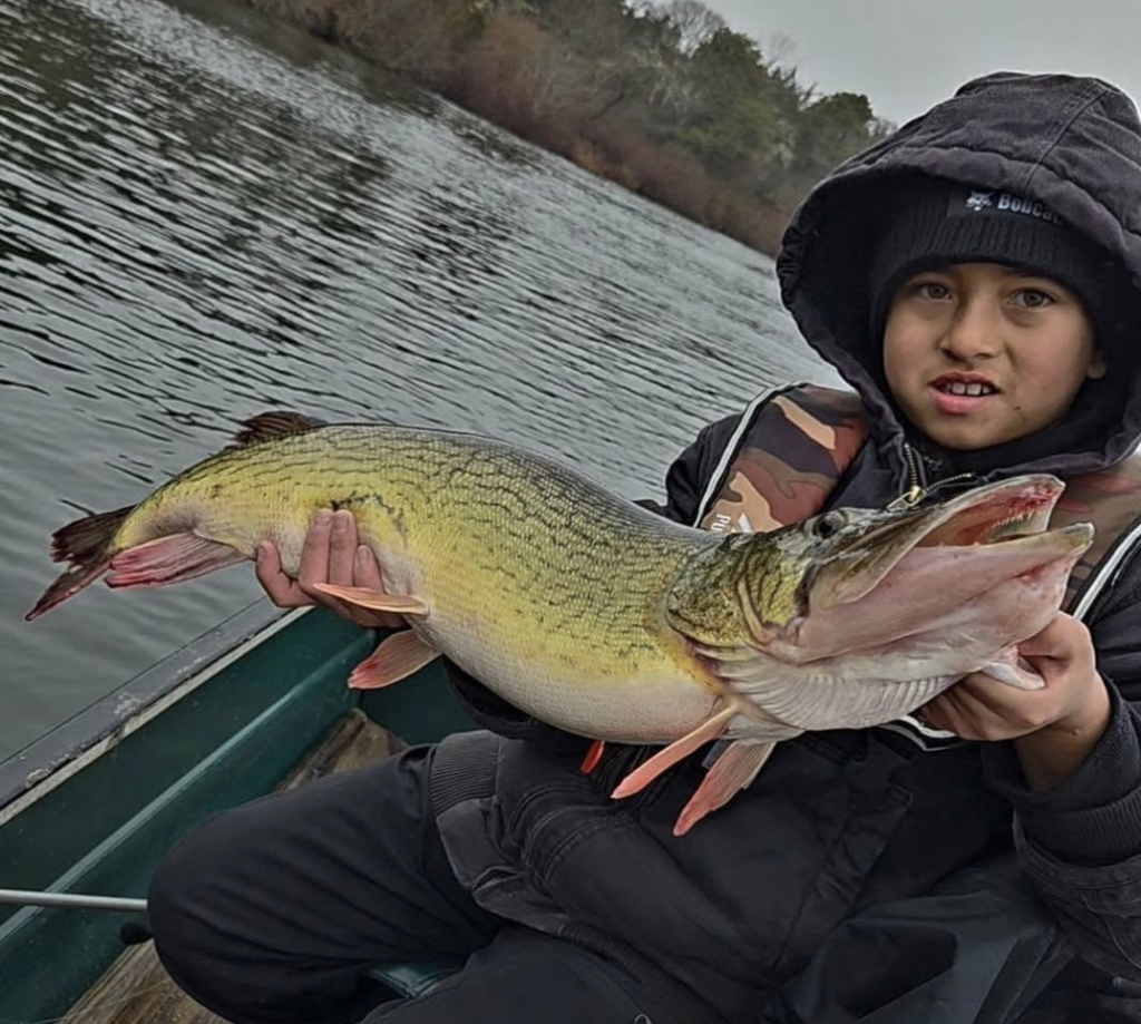 Cape Cod Fishing Report- January 2026