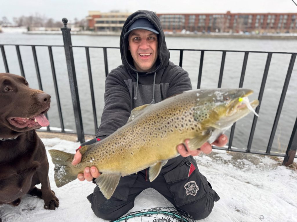 Oswego River brown trout