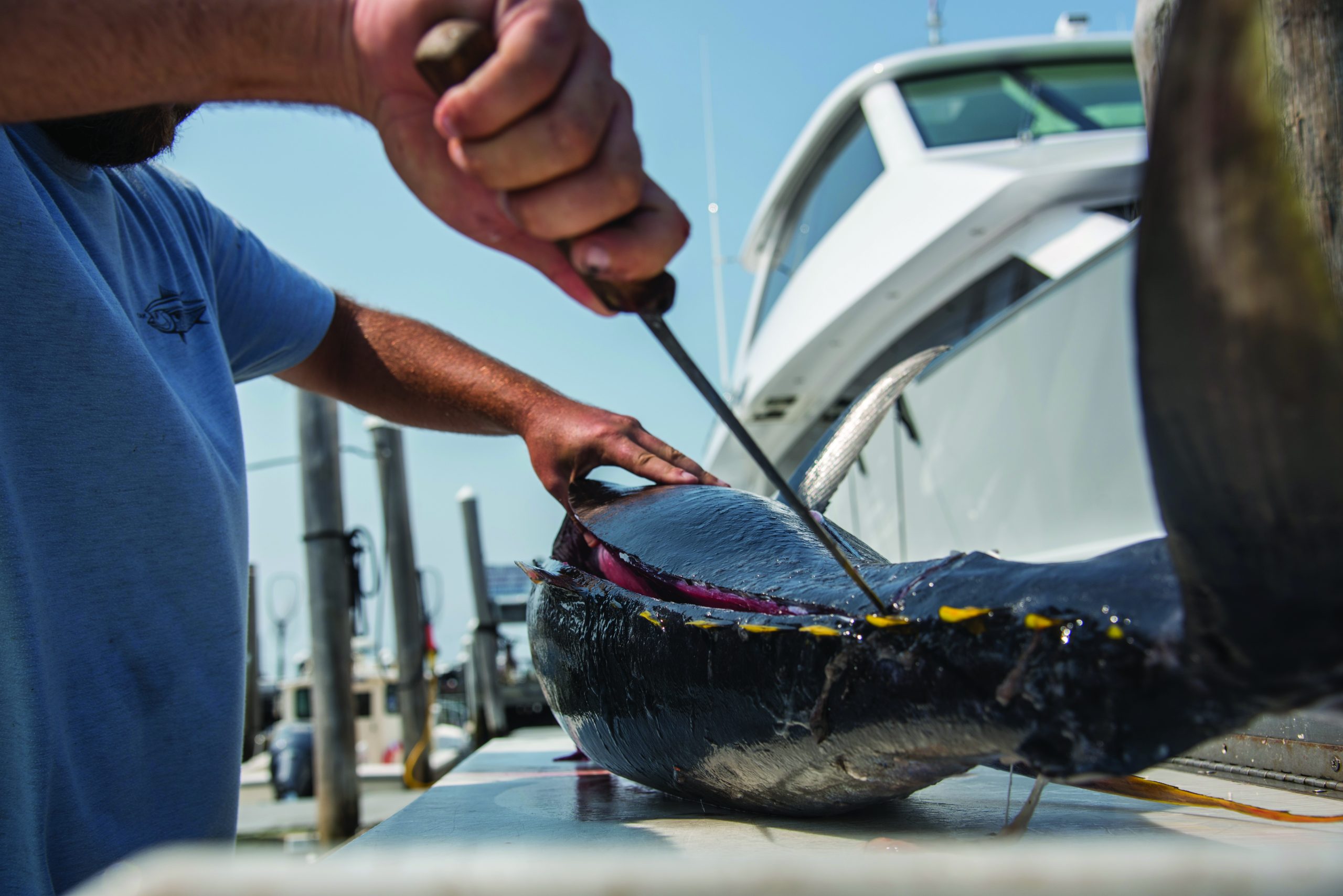 How to Choose the Right Fillet Knife