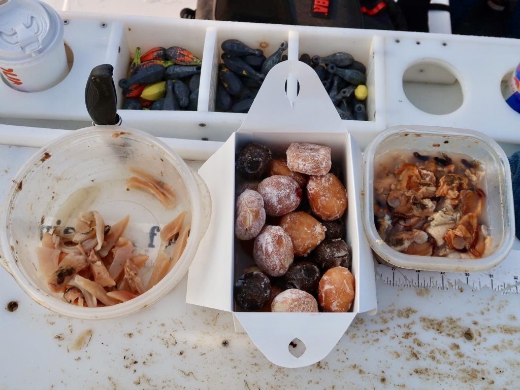 Dunkin' munchkins boat snacks