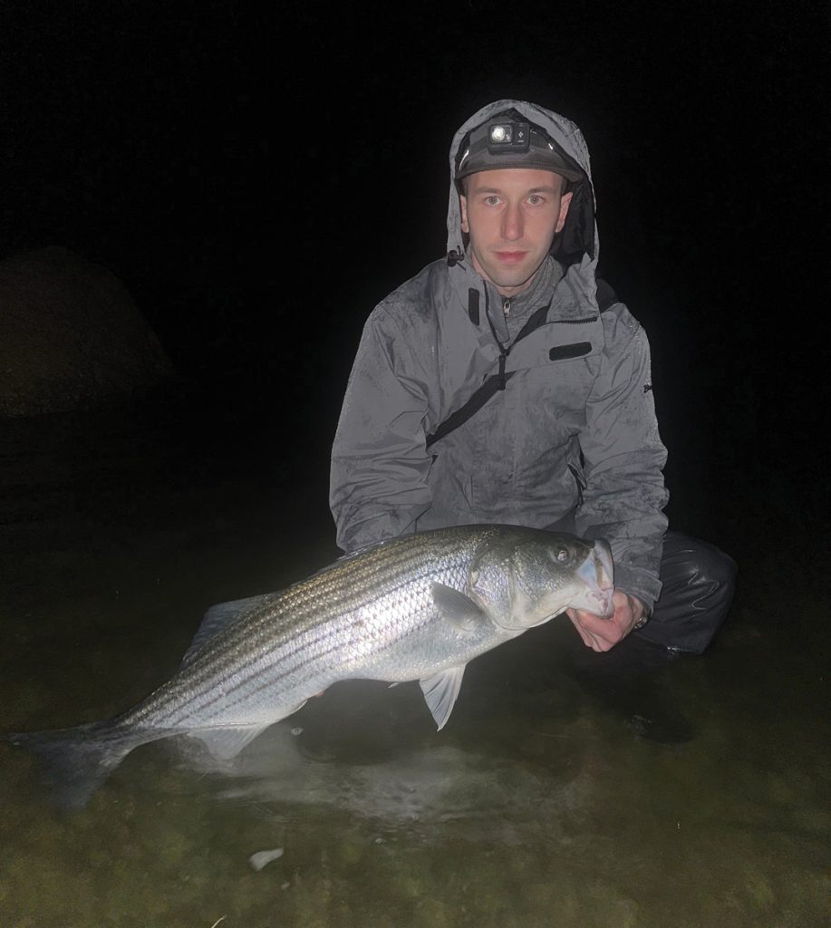 nighttime striped bass