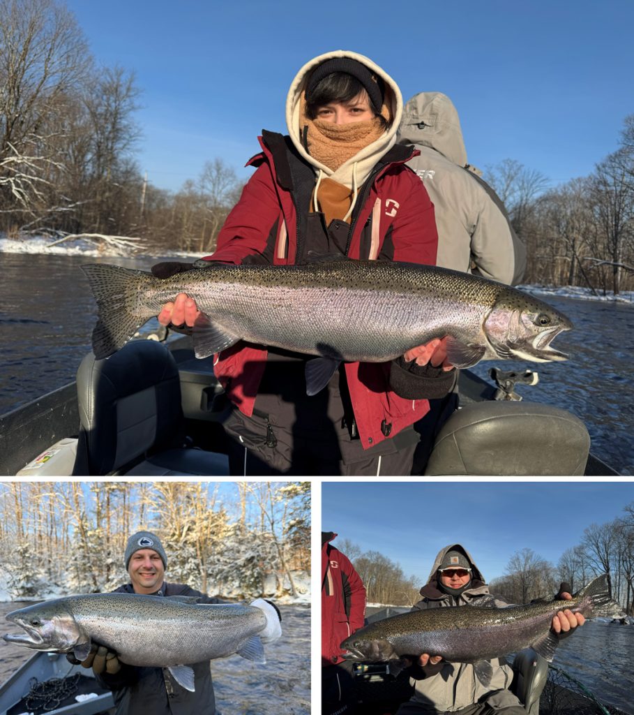 Salmon River catches