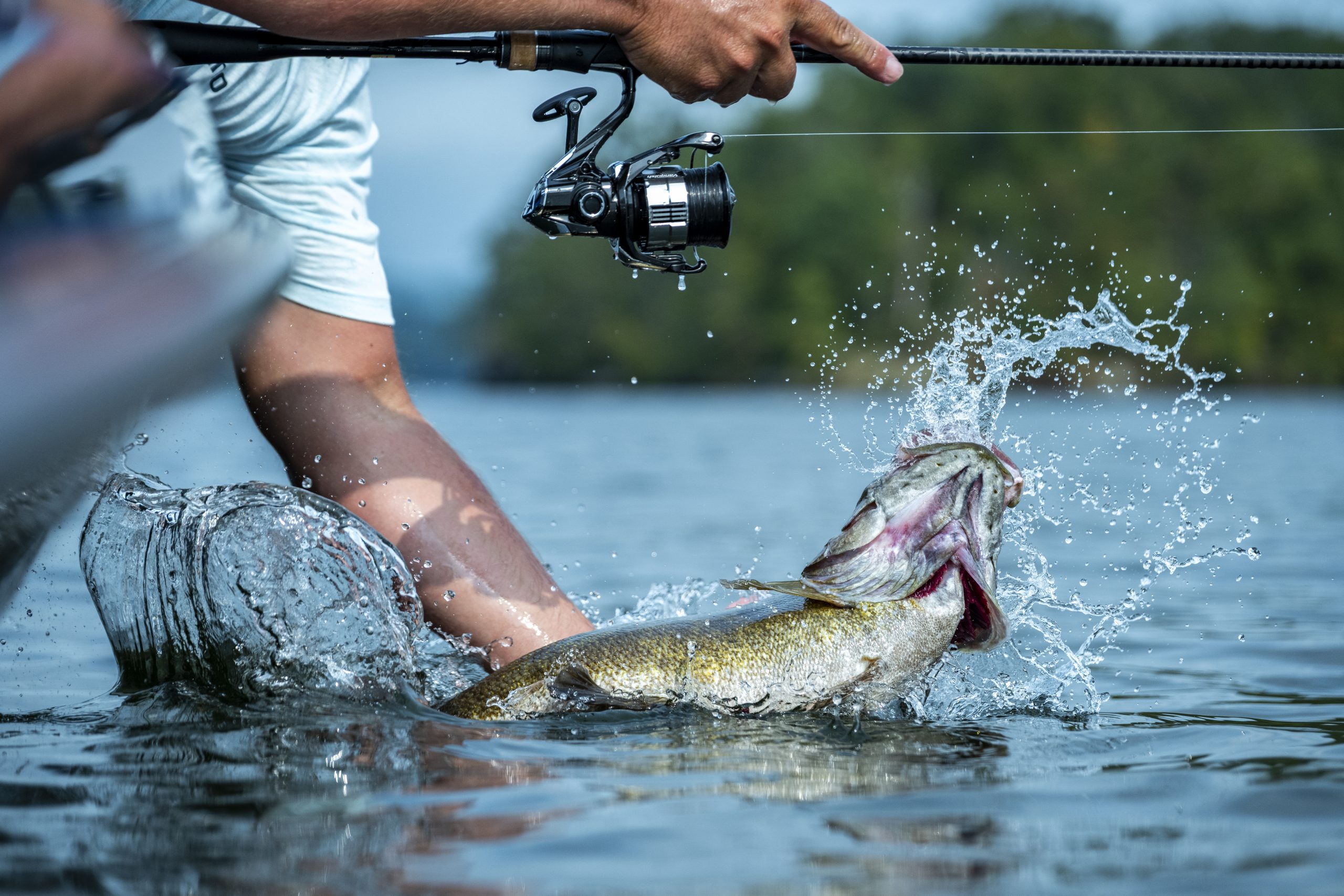 Meet the New Vanquish C: Shimano&rsquo;s Lightest-Ever Spinning Reel