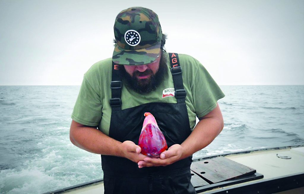 tuna heart boat snacks