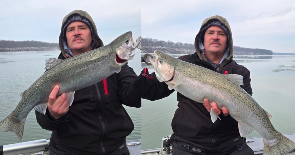 Jon Suave caught these  steelhead fishing with Capt. Matt Yablonsky