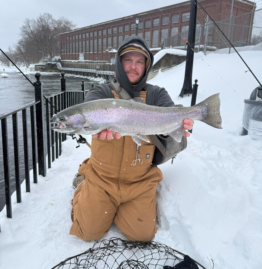 Oswego River steelhead