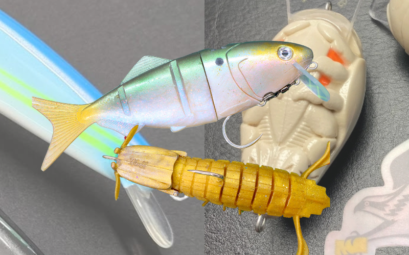 The Most Innovative Striped Bass Fishing Lures for 2026