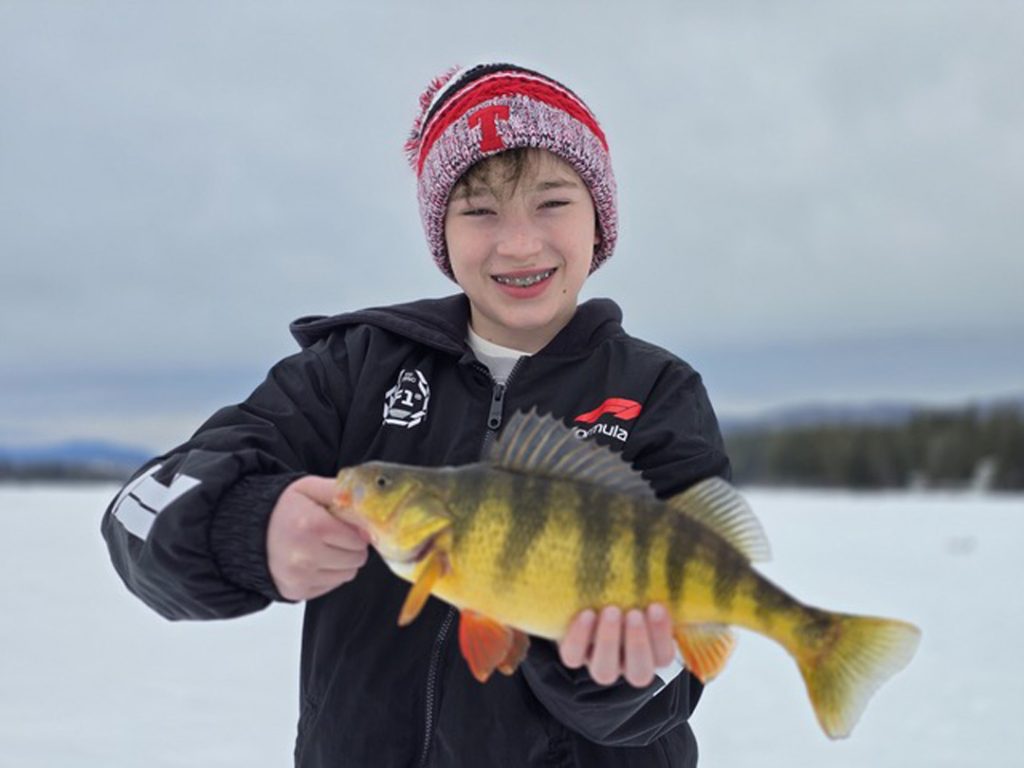 Winnipesaukee yellow perch 