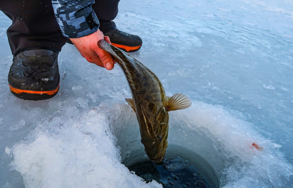 Rhode Island Fishing Report- March 2026