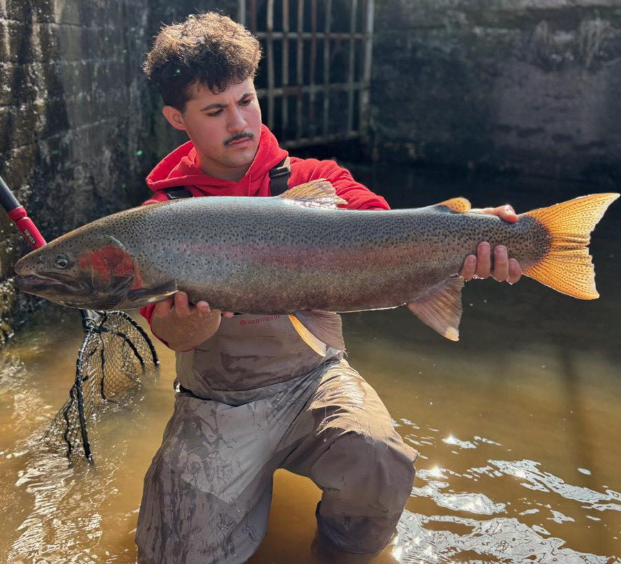 Oak Orchard steelhead