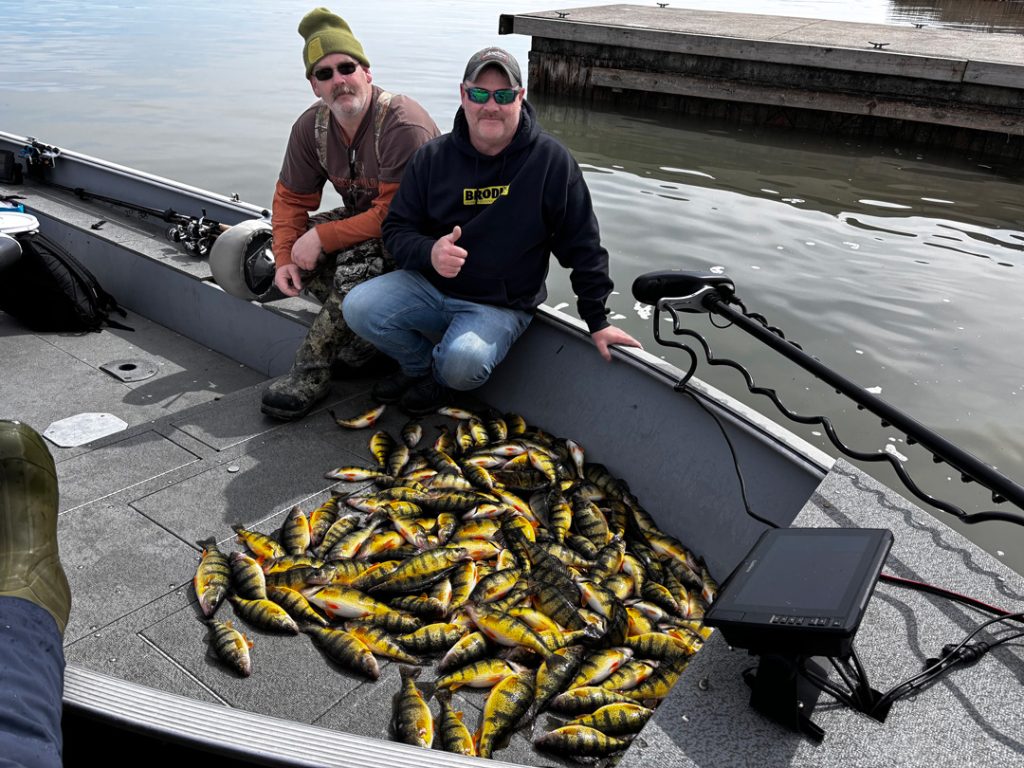 boat load of Cayuga lake yellow perch