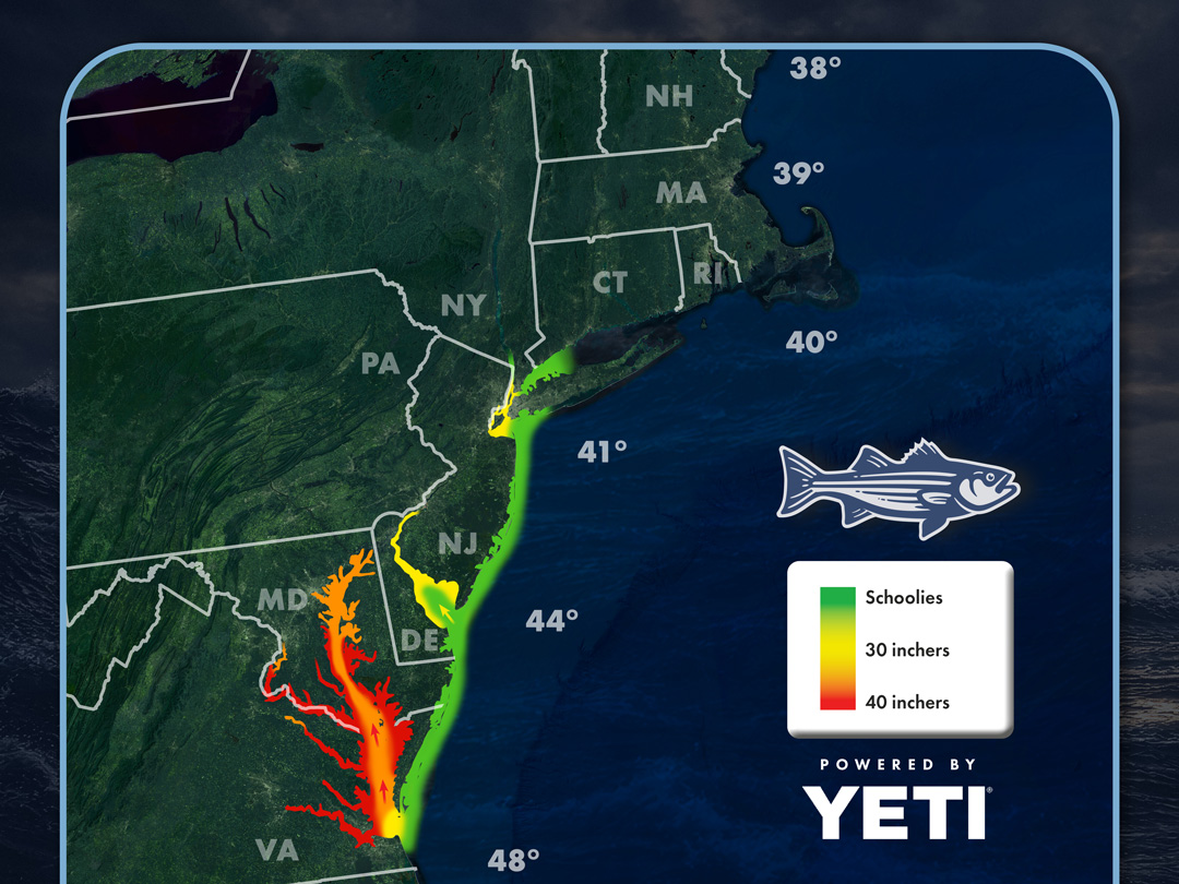 OTW Striper Migration Map thumbnail March 27, 2026