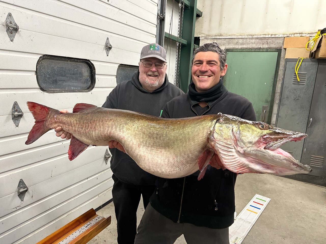Victor Gelman and Craig Lemon holding the pending New Jersey state record muskellunge at Hackettstown Hatchery