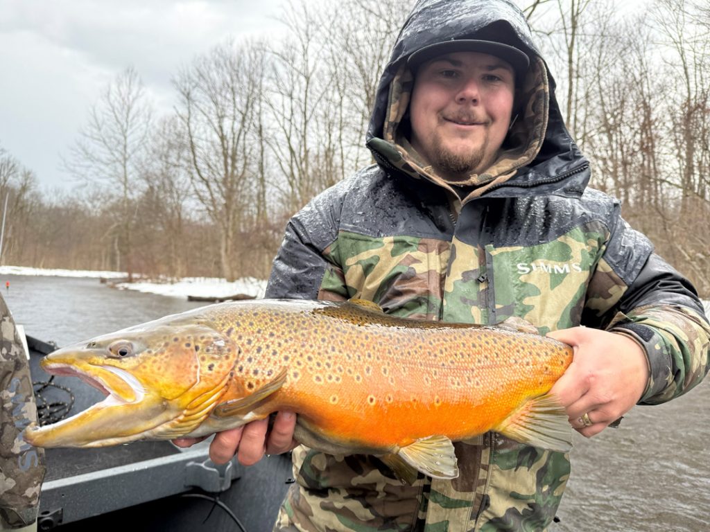 Oswego brown trout