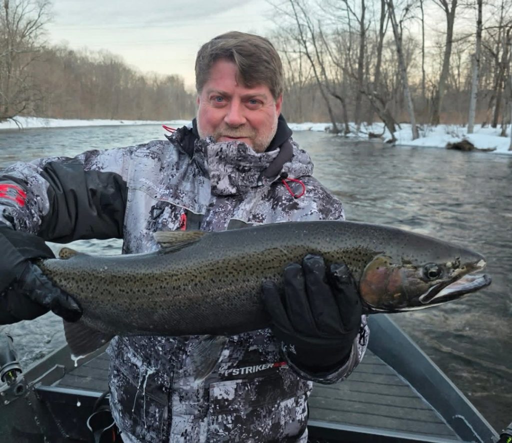 Oswego steelhead