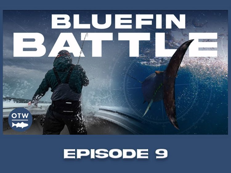 OTWAA: Bluefin with Gene Quigley