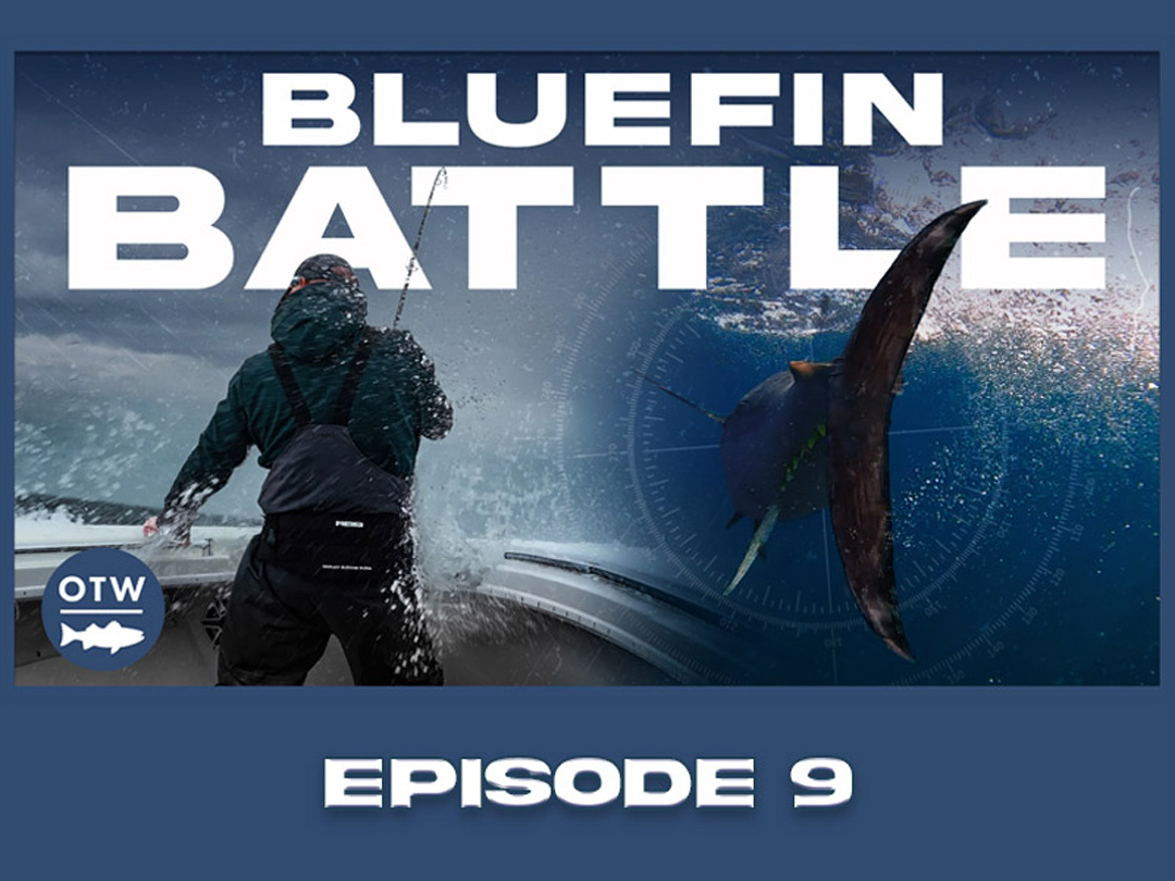 OTWAA: Giant Bluefin with Gene Quigley
