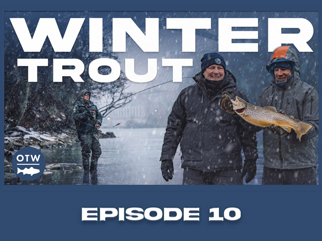 OTWAA: Valley of the Giants