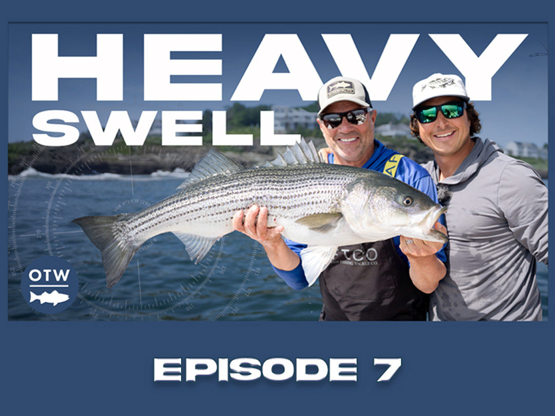 OTWAA: The Historic North Shore with Joe Gugino