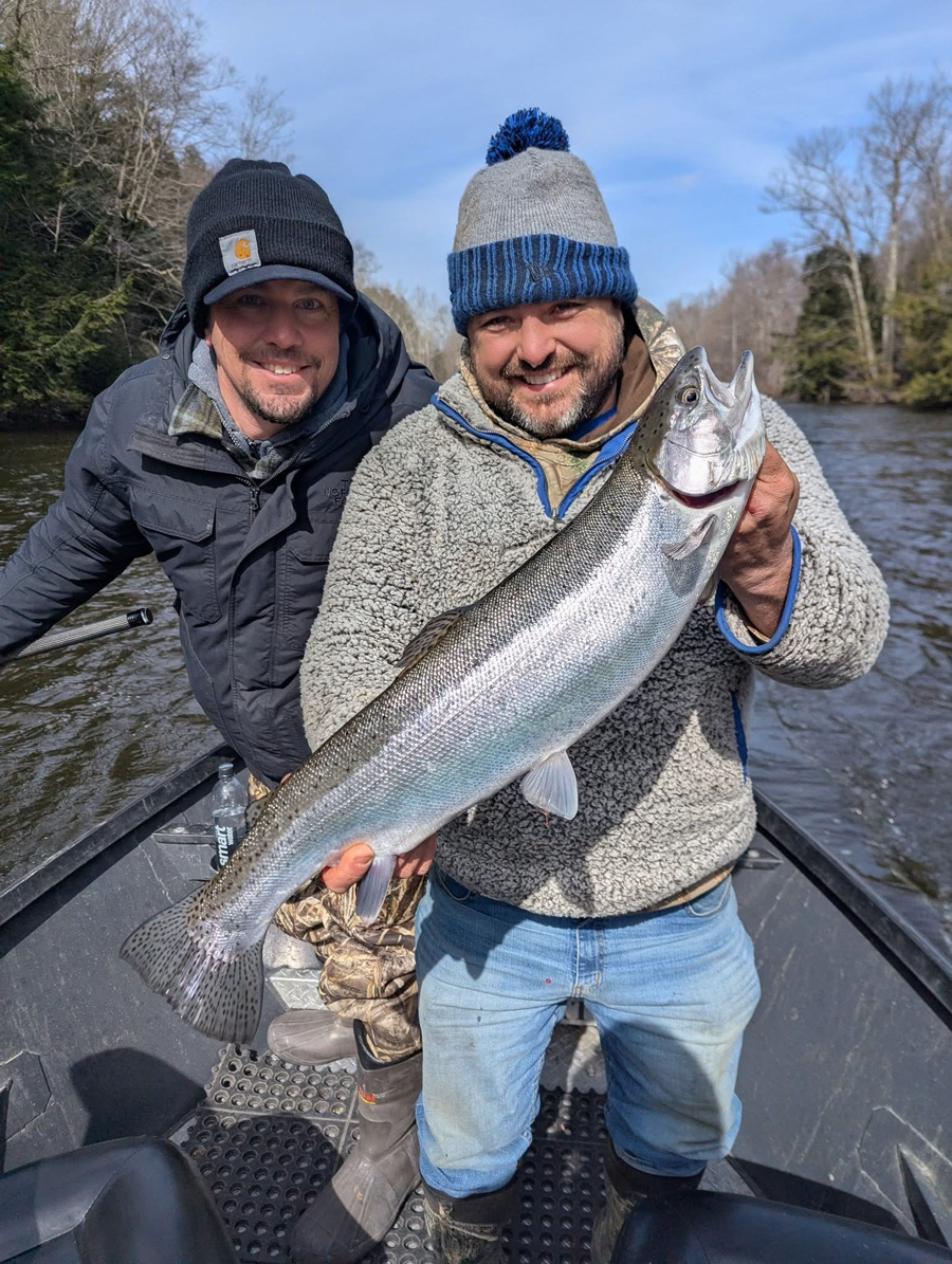 Salmon River steelhead
