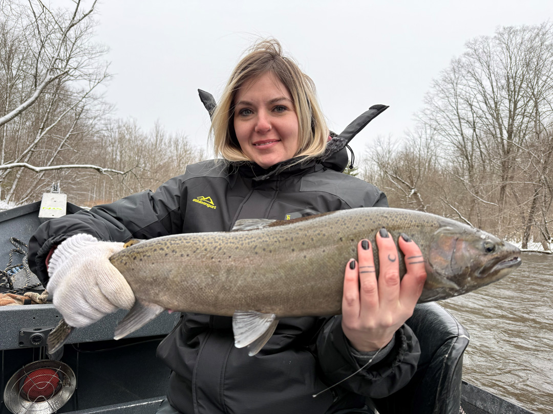 Salmon River steelhead