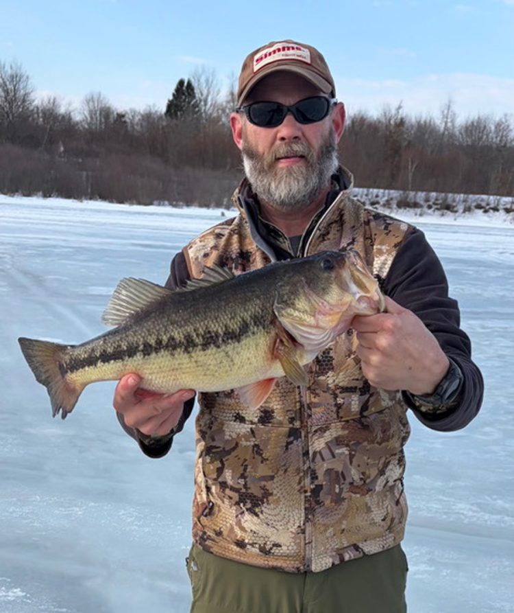 Western MA largemouth bass