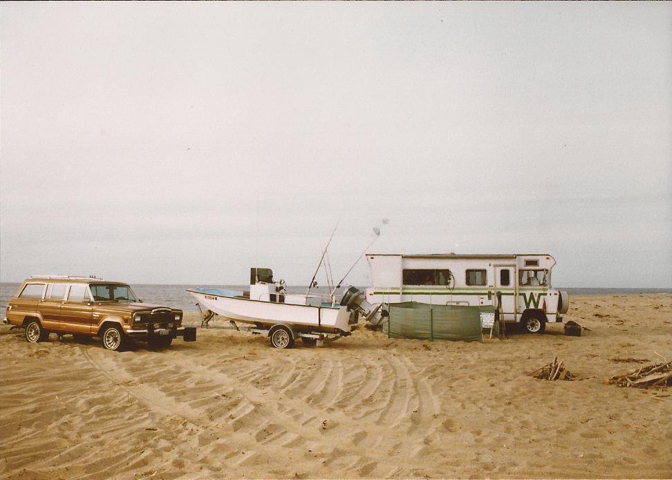 Opinion: Cape Cod Has Done Its Part on Piping Plover Recovery