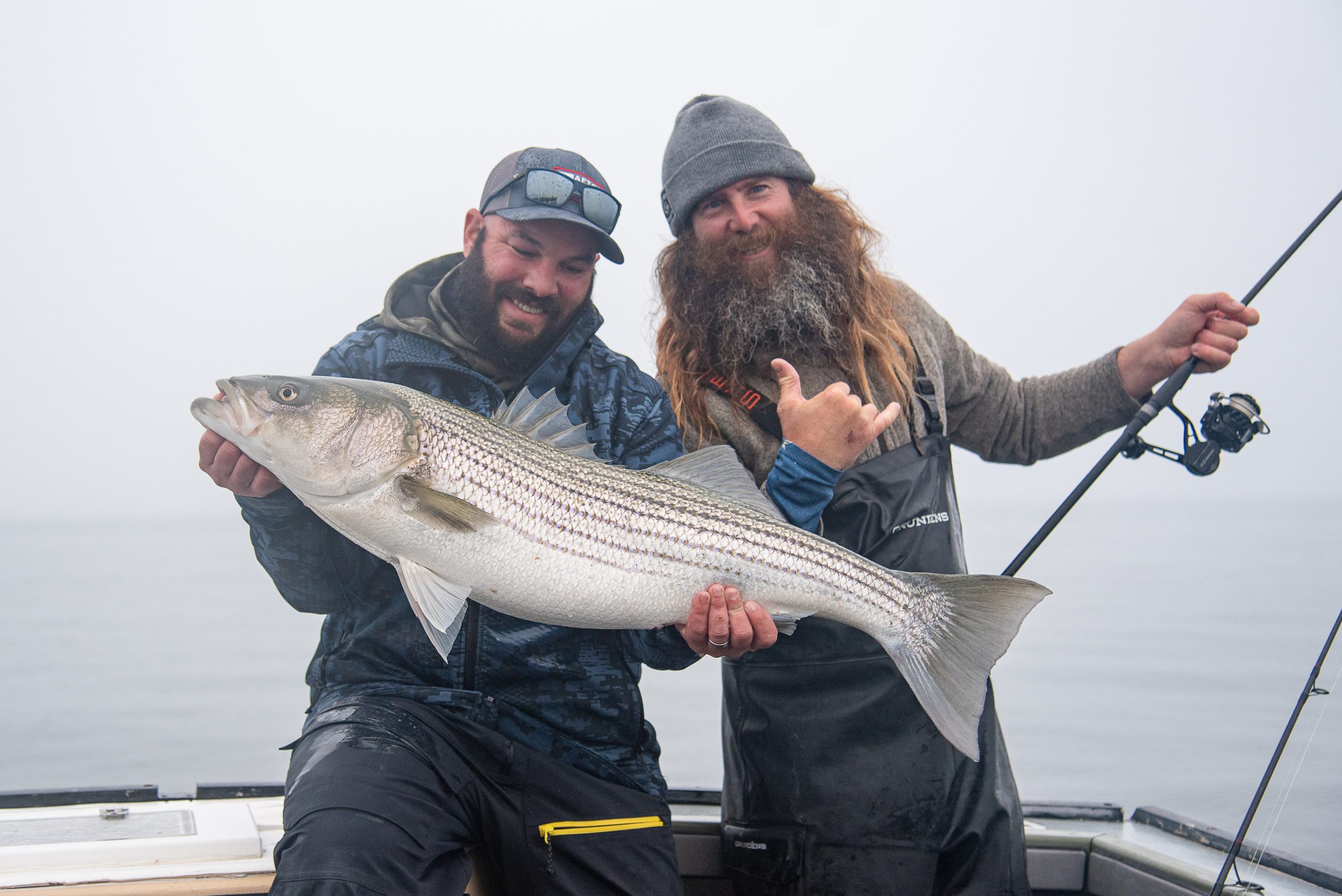 Narragansett Bay&rsquo;s Spring Striper Run