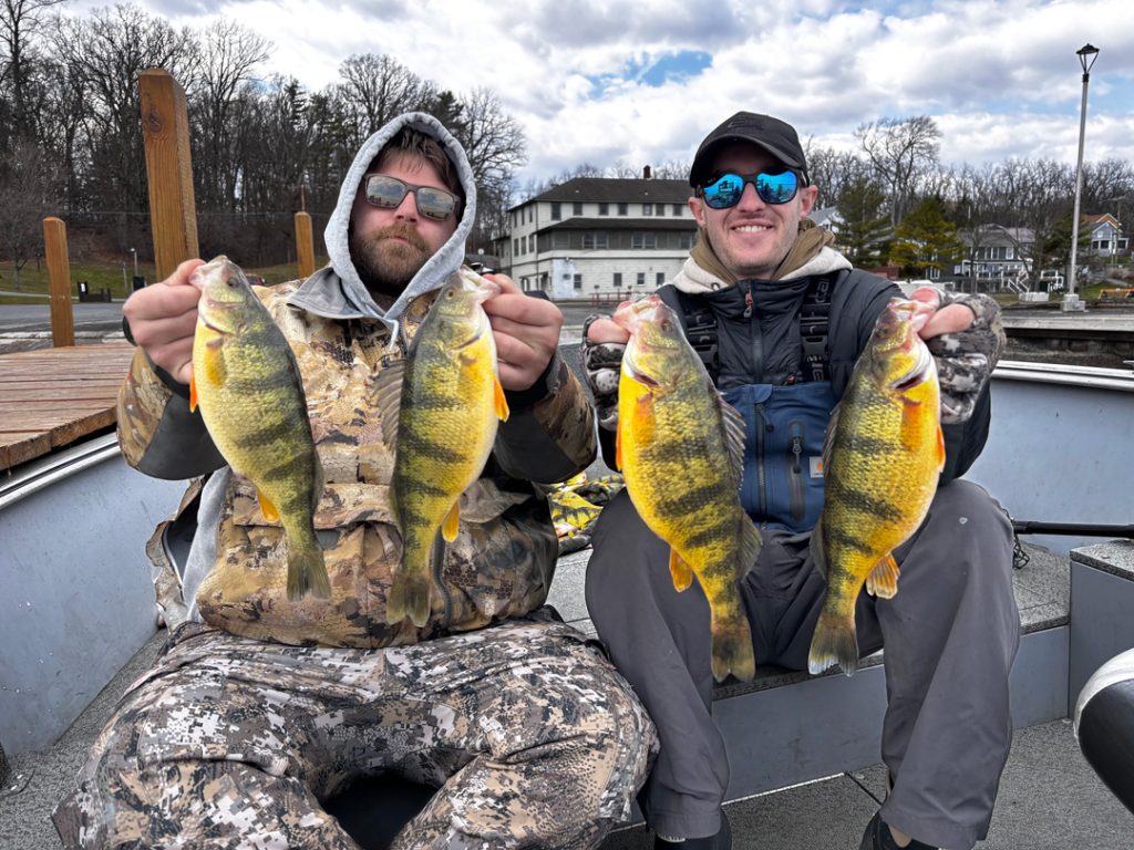 Finger Lakes yellow perch