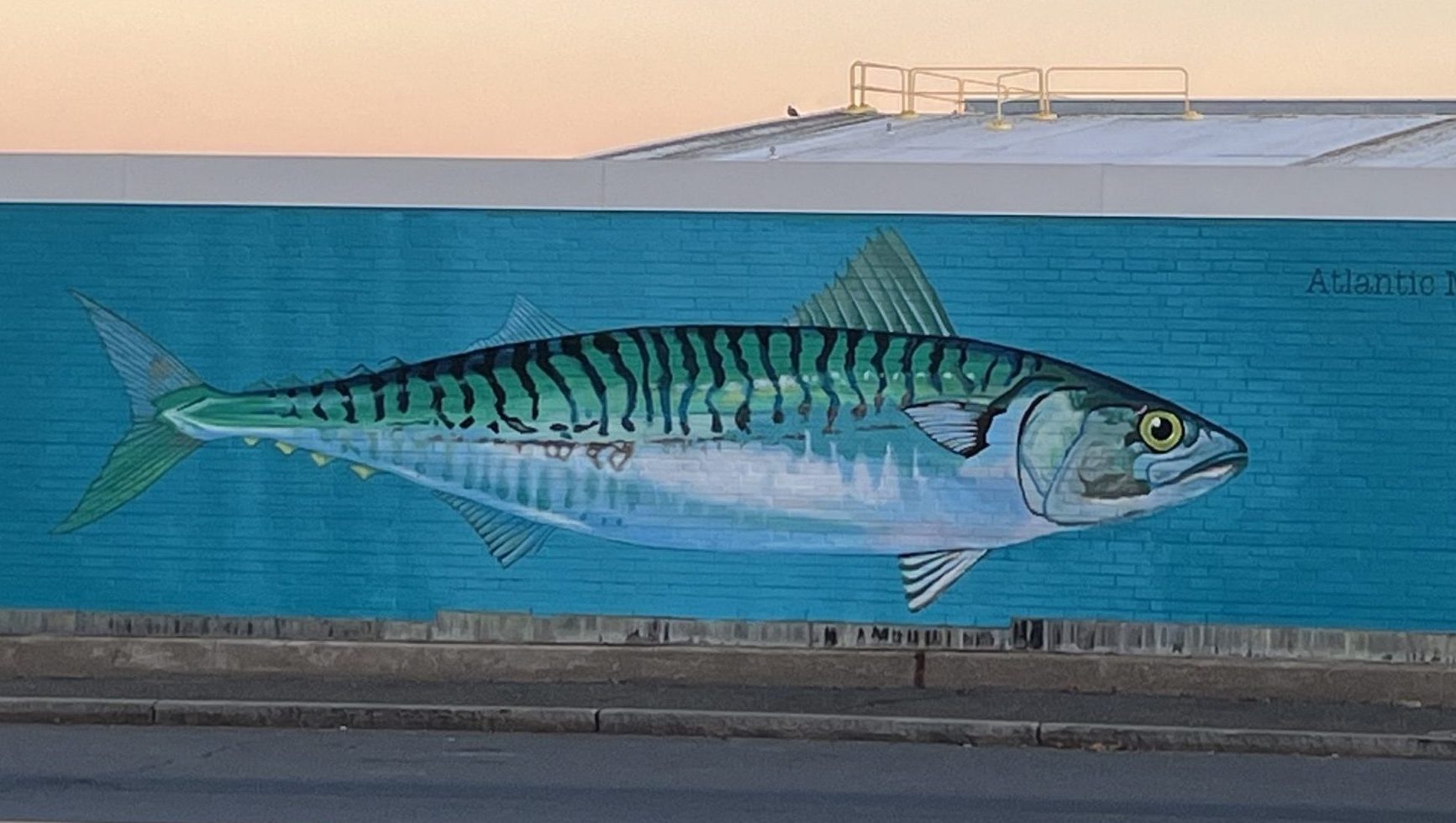 Angling Artist: Josh Falk