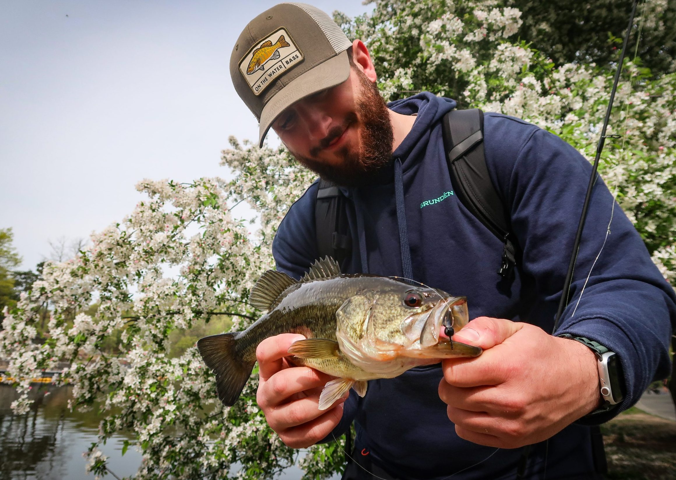 NYC Bass Fishing: Catching Largemouth in Central Park